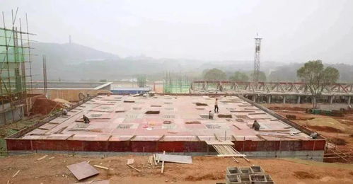 總投資4.23億元，無為城區水廠擴建工程正式開工，輸水管道同步推進